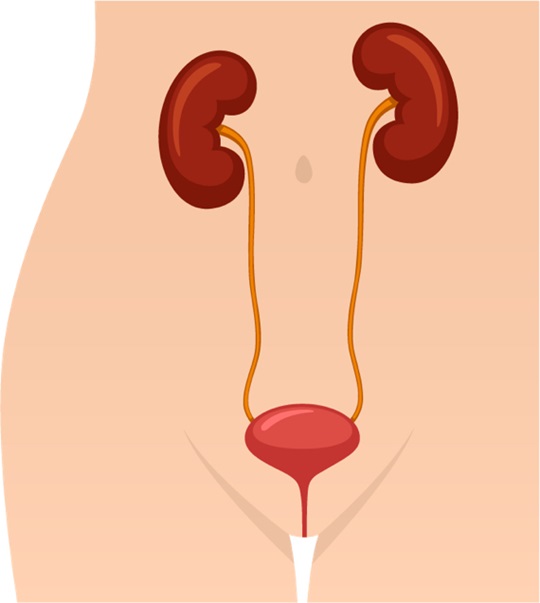 Incontinencia urinaria funcional